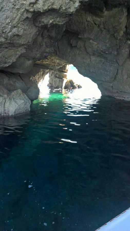 לינה וארוחת בוקר Acquarium טרופאה מראה חיצוני תמונה